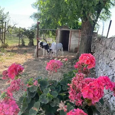 Masseria Ciavatta *